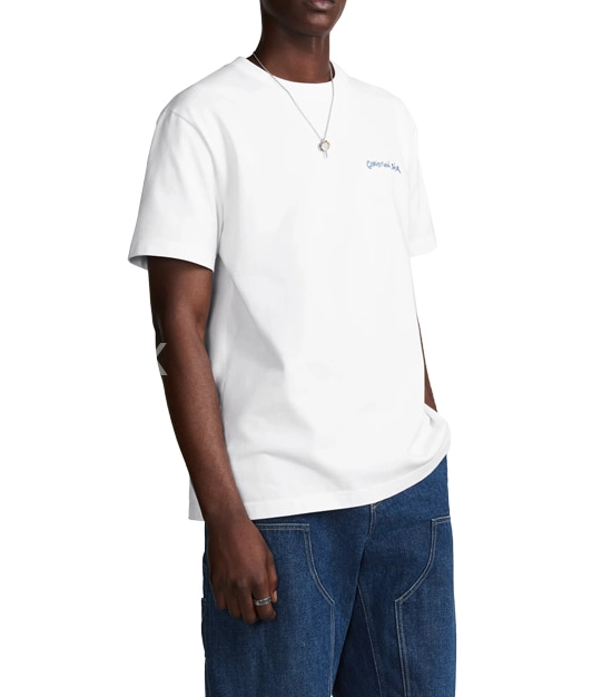 d033ba7087cd7.png