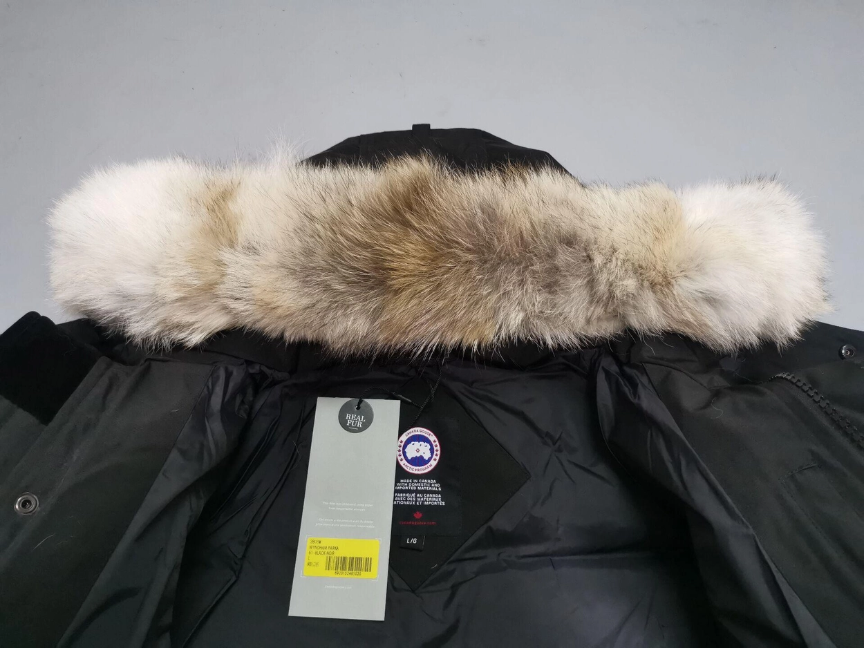 7638e31573e72.jpg