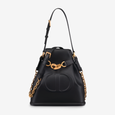 [Premium] 디올 C'EST DIOR 미디엄 백 [매장-480만원대]