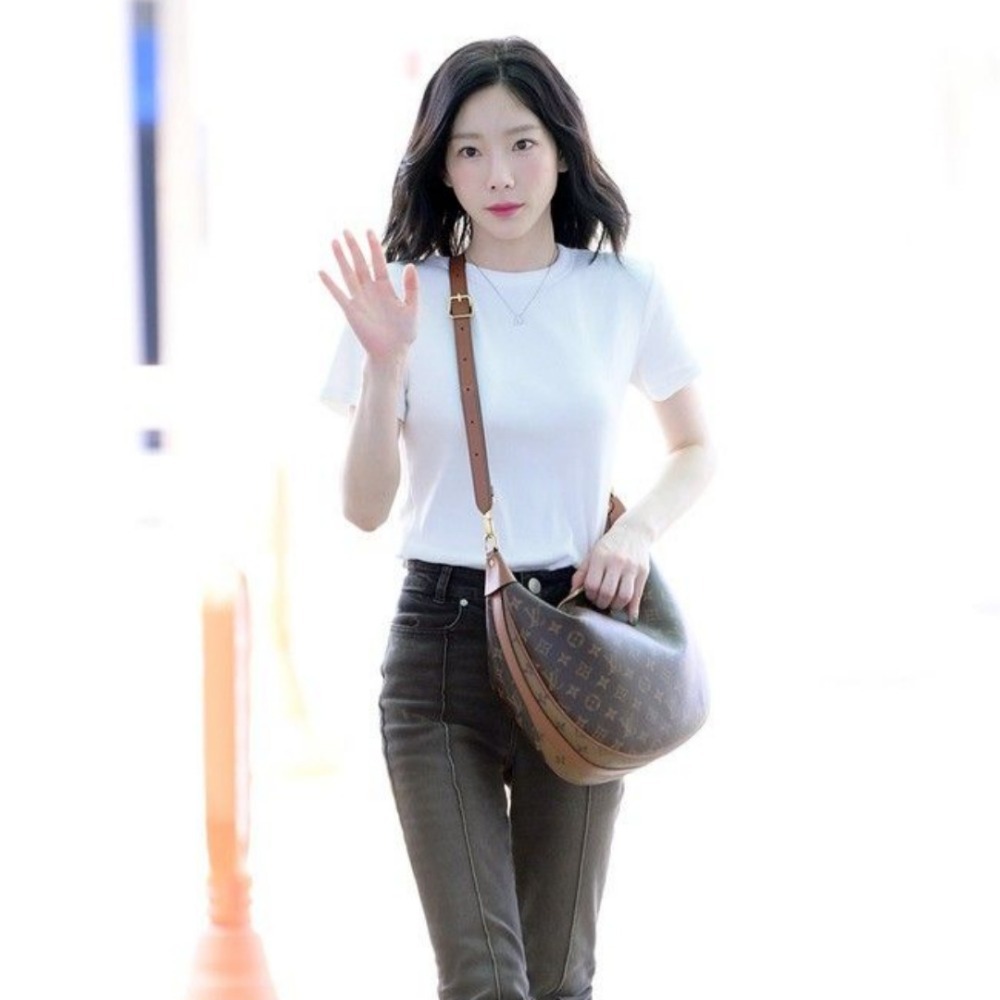 루이비통 루프 호보백 M46311